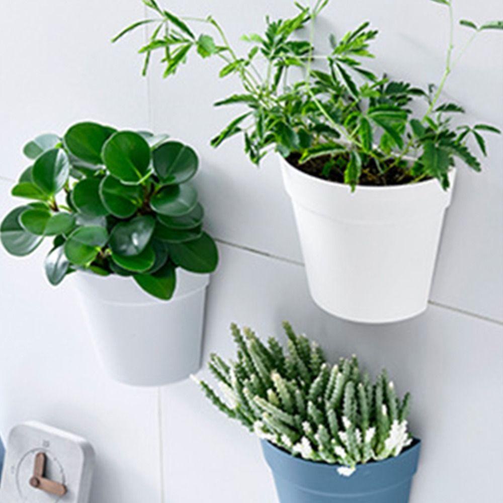 Chậu Trồng Cây Hình Bán Nguyệt Treo Tường Trang Trí Trong Nhà, Văn Phòng