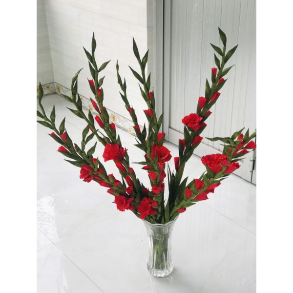 củ Hoa lay ơn  đỏ chưng tết/ hoa lay ơn( chuyên cây giống)