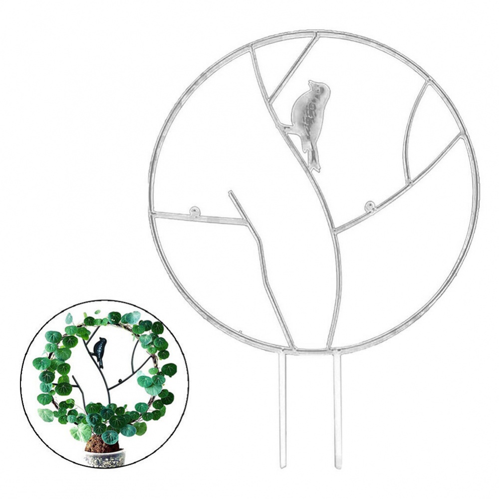 Khung Hỗ Trợ Trồng Cây Dây Leo Tiện Dụng Cho Sân Vườn