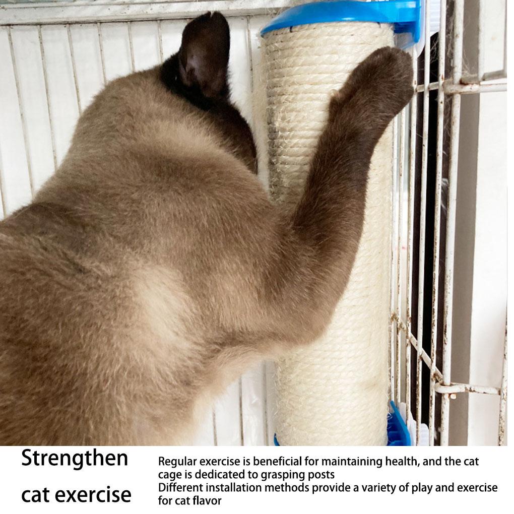 Dụng Cụ Mài Móng Tay Bề Mặt Mịn Màng Lâu Trôi Màu Sắc Dành Cho Mèo Cưng