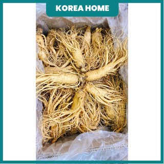 SÂM TƯƠI HÀN QUỐC 1/5,6,7,,9,10 củ