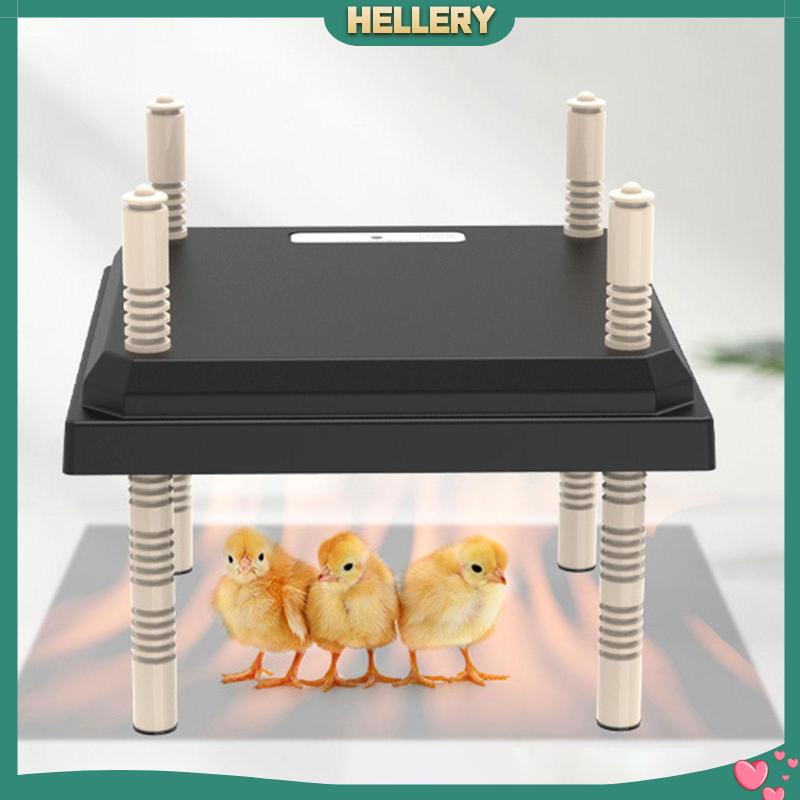 [HelleryVN] Đĩa Sưởi Ấm Chiều Cao Có Thể Điều Chỉnh Cho Gà Con