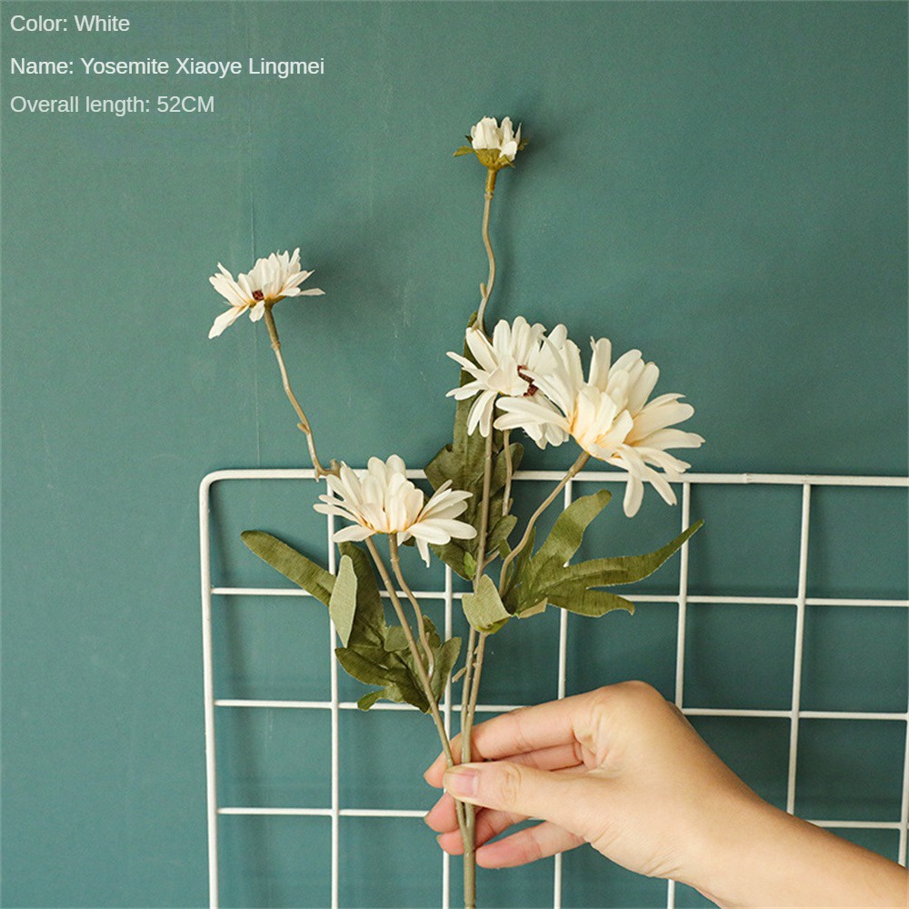 Trang trí đám cưới Trung tâm đám cưới Đóng gói đẹp mắt Trang trí nội thất Món quà trang nhã Bó hoa nhân tạo Không bao giờ phai Bó hoa cầm tay Hợp thời trang Trang trí nhà Veel