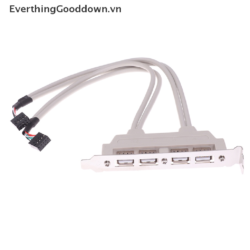 Everthingood Cáp Mở Rộng 4 Cổng USB 2.0 Sang 9 Pin Cho Bảng Điều Khiển PC vn
