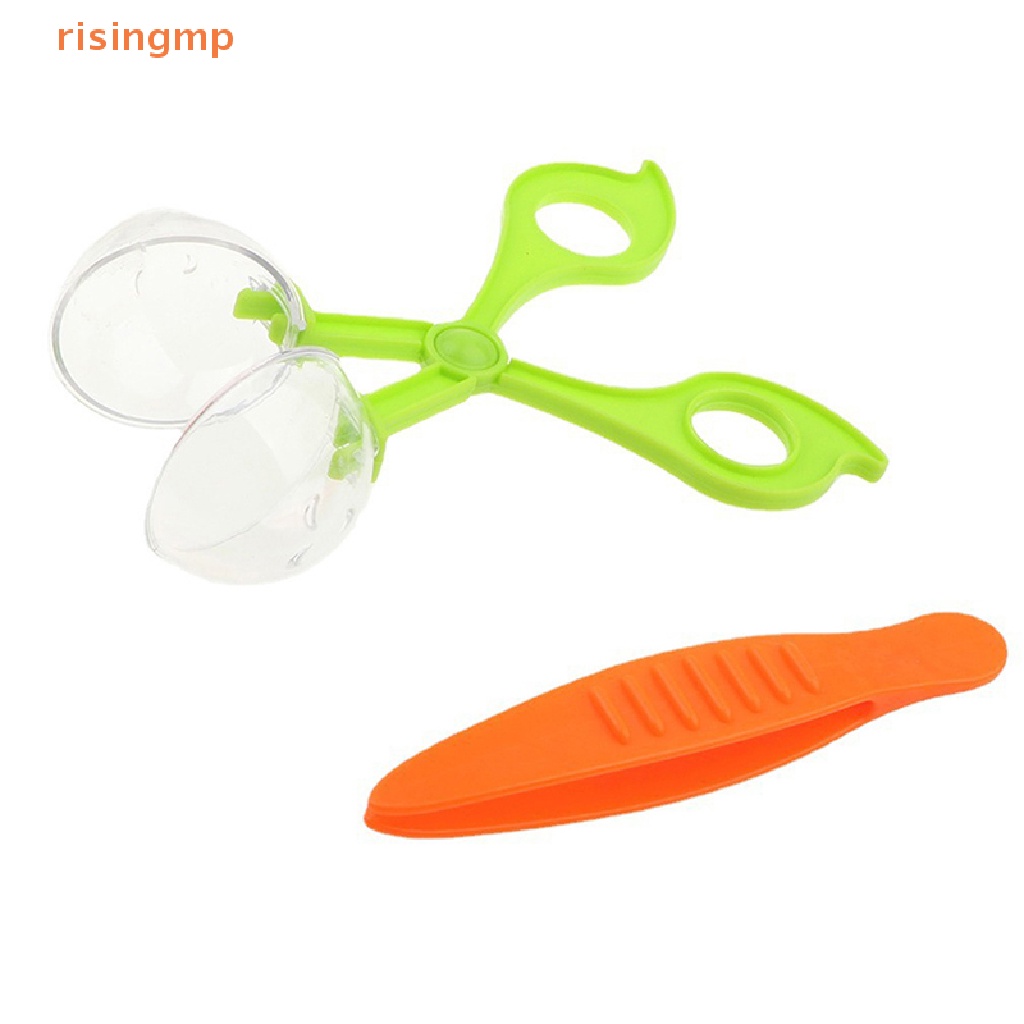 Bộ Đồ Chơi Khám Phá Côn Trùng Bằng Nhựa Tự Nhiên Kèm Nhíp Cho Bé