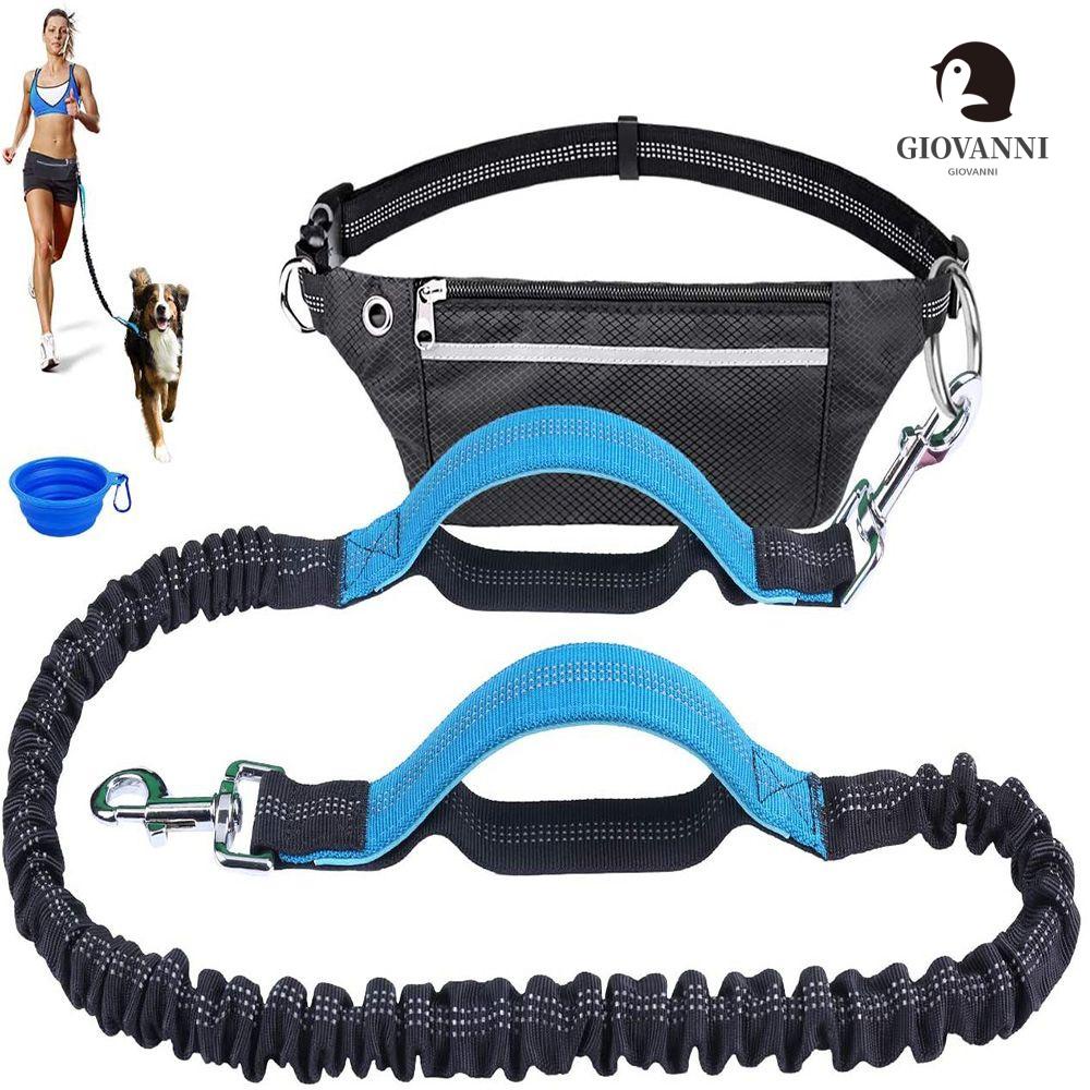 Dây Dắt Thú Cưng Đi Dạo Co Giãn Điều Chỉnh Được