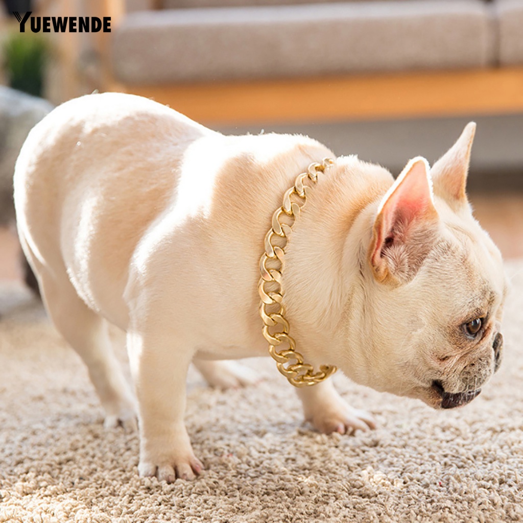 Vòng Cổ Thú Cưng Bằng Nhựa Có Thể Điều Chỉnh Kích Cỡ