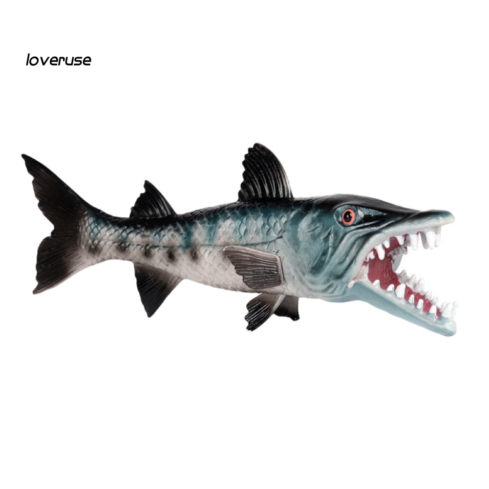 Mô Hình Động Vật Biển Răng Sắc Bén Độc Đáo Trang Trí Nhà Cửa