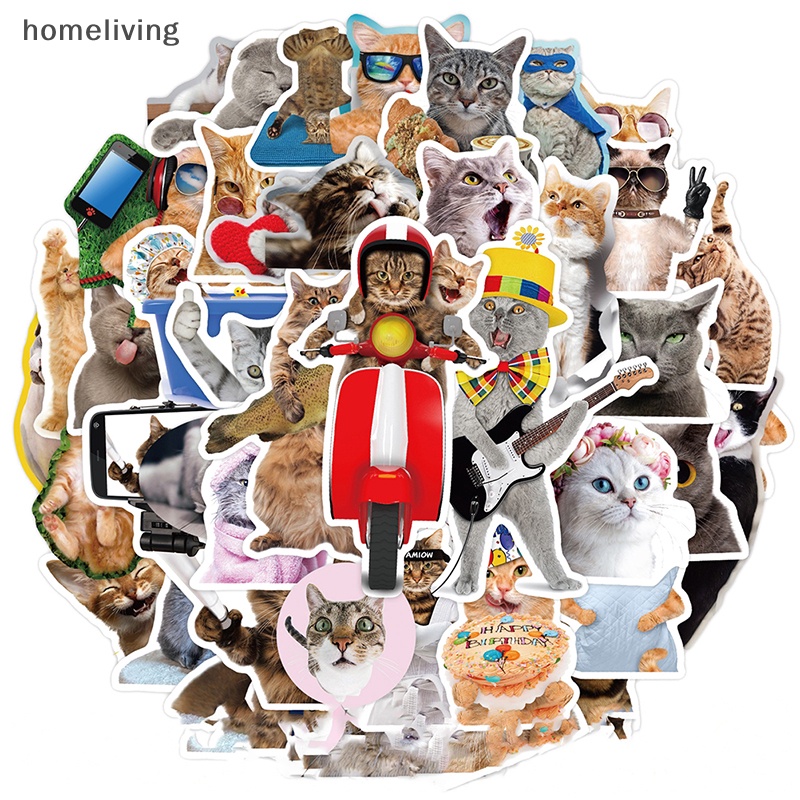 Bộ 65 Miếng Dán Họa Tiết Mèo Hoạt Hình Vui Nhộn Trang Trí Ván Trượt