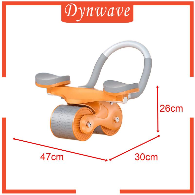 Con Lăn Đôi Chuyên Dụng Cho Tập Gym Tại Nhà