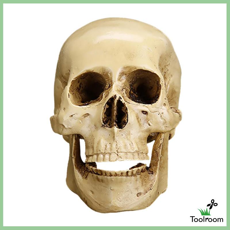 Mô Hình Đầu Lâu Phong Cách Gothic Trang Trí Nhà Cửa