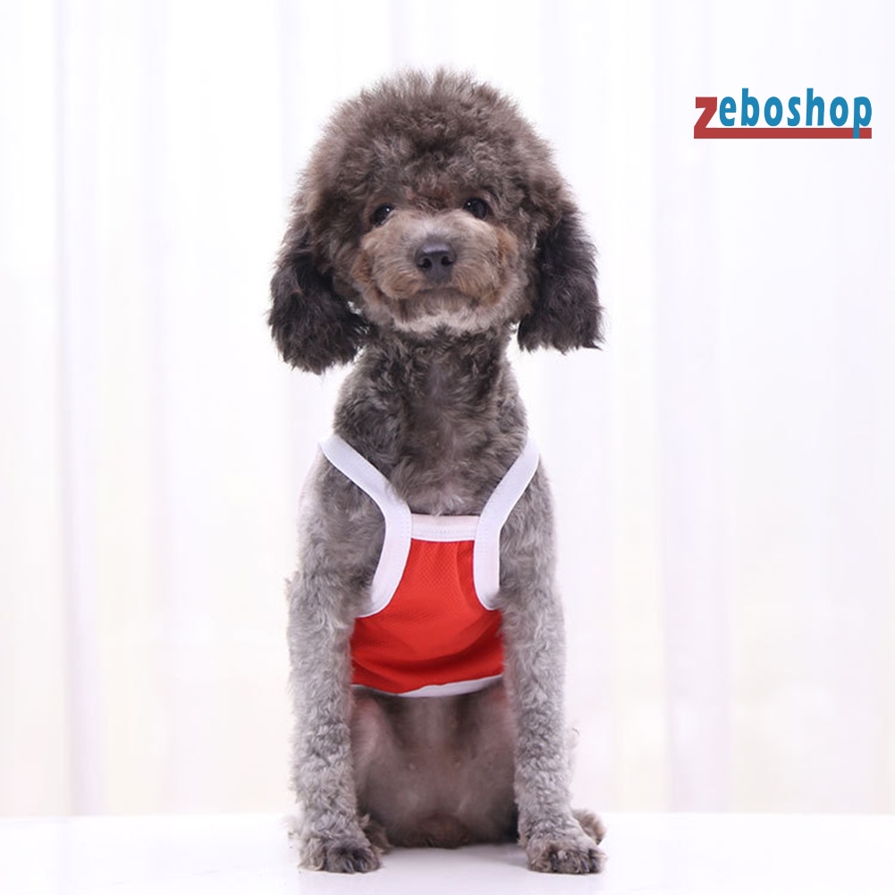 Áo Sát Nách Họa Tiết Quả Bơ / Khủng Long Dễ Thương Cho Cún Cưng