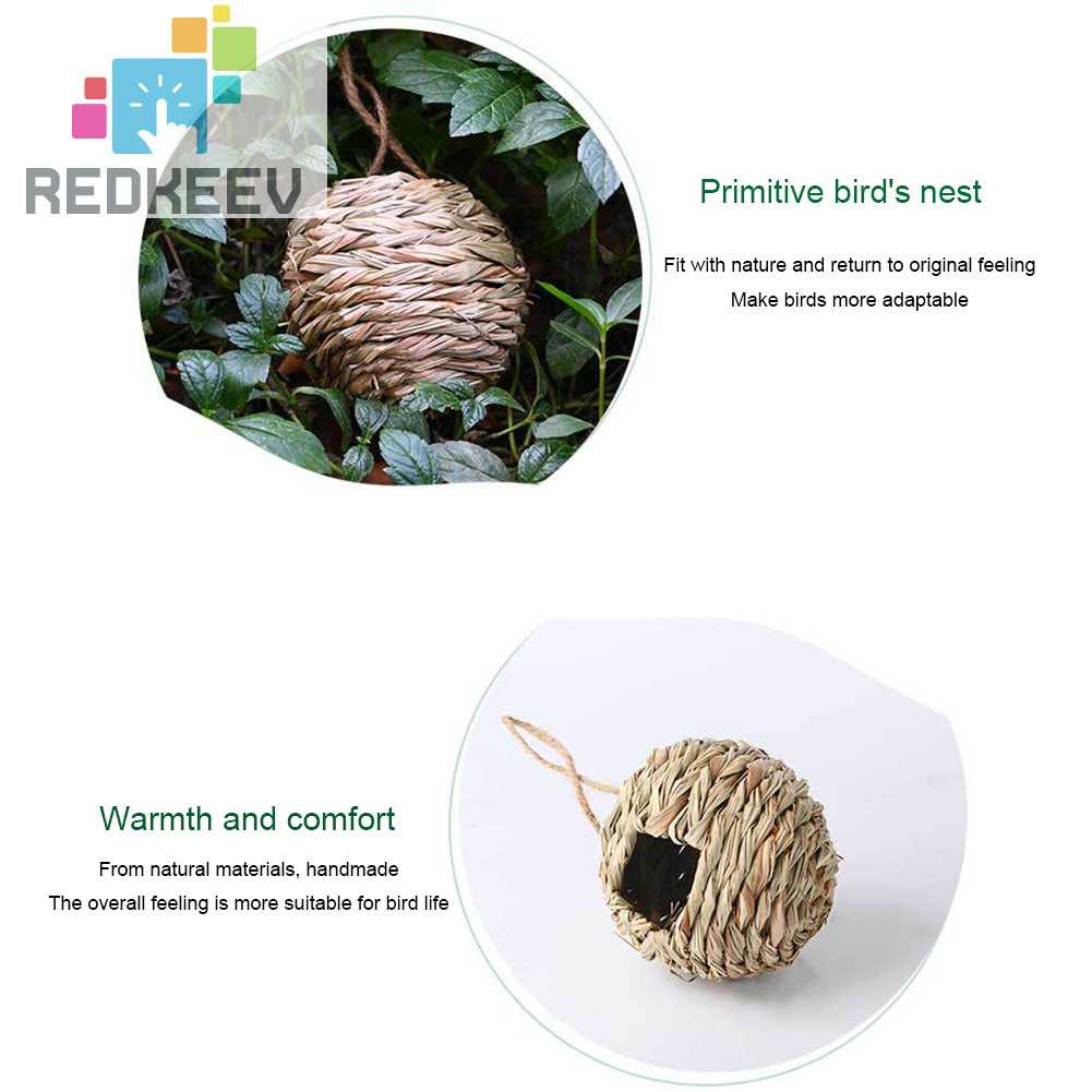 Tổ Chim Bằng Cỏ Tự Nhiên Dùng Trang Trí