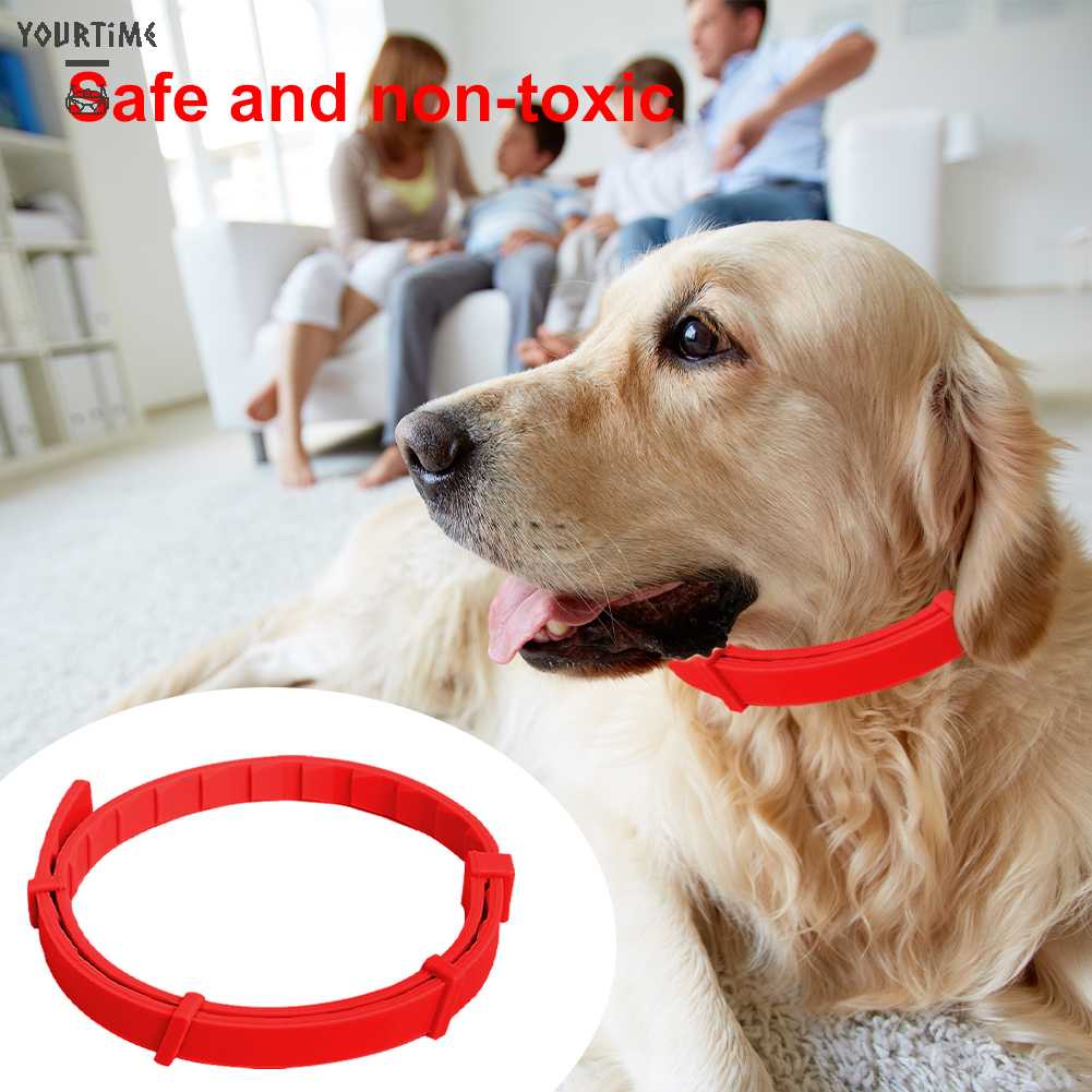 Vòng Cổ Silicone ChốNg ThấM NướC Cho Thú Cưng