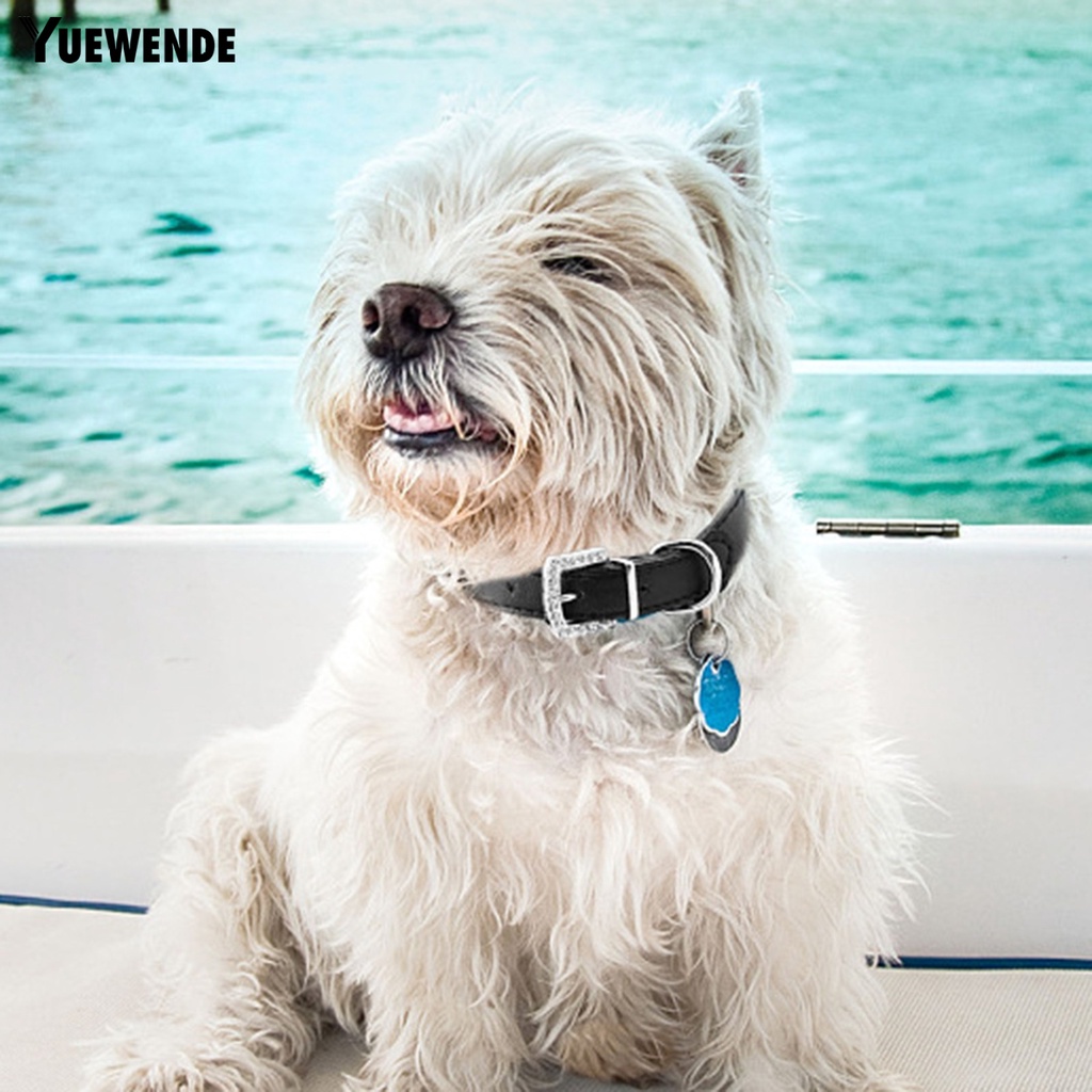 Vòng Cổ Giả Da Đính Đá Lấp Lánh Dành Cho Thú Cưng