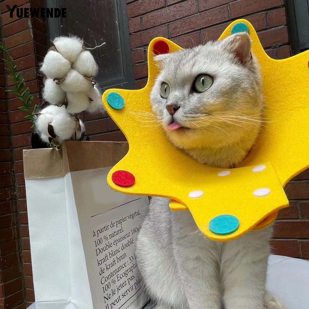 Yq.e Vòng Cổ Bảo Vệ Chống Cắn Có Thể Điều Chỉnh Hình Hoa Dành Cho Mèo Cưng