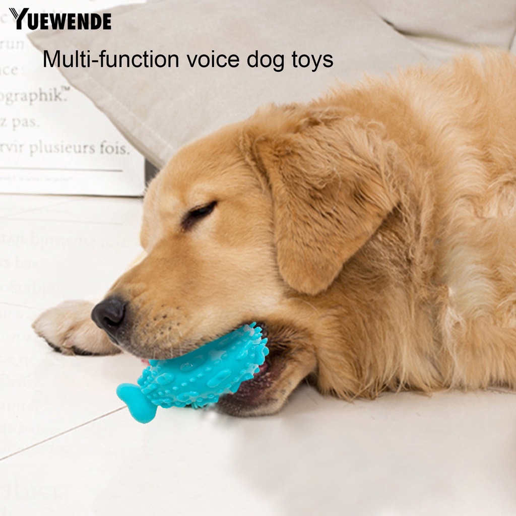 Yq.e Đồ Chơi Gặm Tương Tác Với Thiết Kế Hoạt Hình Dễ Thương Chống Tróc Có Tiếng Kêu Cho Thú Cưng