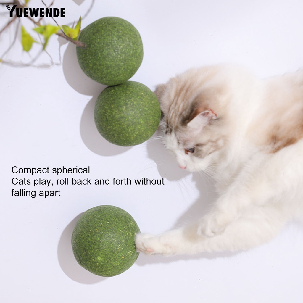 Quả Bóng Gặm Chống Cắn Tự Nhiên Quyến Rũ Cho Mèo Cưng YQ.E