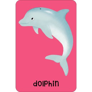 Sách Sea Snap! (Cards)