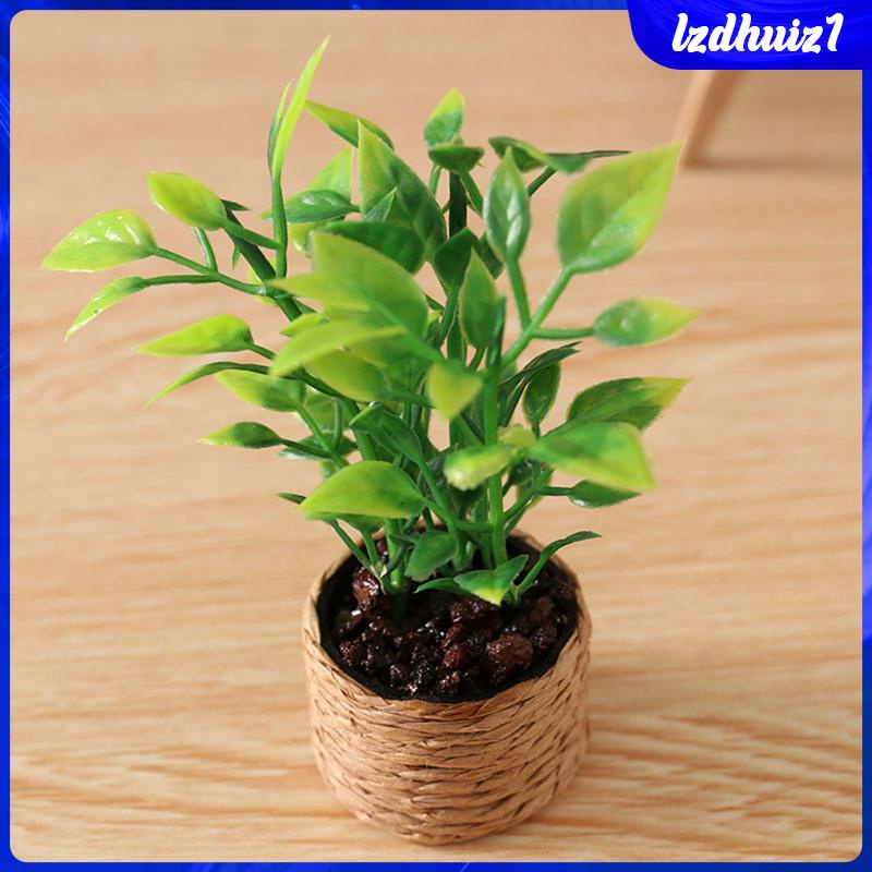 Mô Hình Chậu Cây Tiểu Cảnh Tỉ Lệ 1 / 12 Dùng Trang Trí Nhà Búp Bê