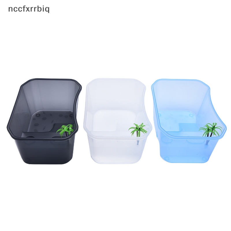 Hộp nuôi bò sát vivarium cho rùa ăn hộp với nền tảng Basking bể mới