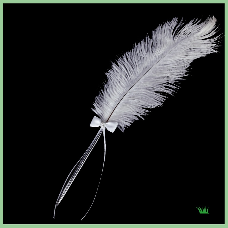 Bút Máy Màu Trắng Đính Đá Và Nơ Xinh Xắn