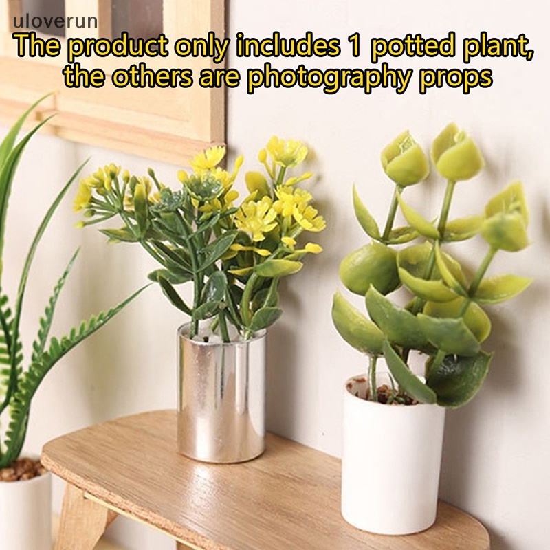 Mô Hình Chậu Cây Mini Tỉ Lệ 1: 12 Dùng Trang Trí Nhà Búp Bê