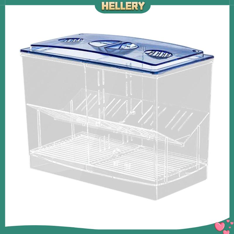 Hộp Nuôi Cá Dễ Sử Dụng Cho Văn Phòng Guppy Betta