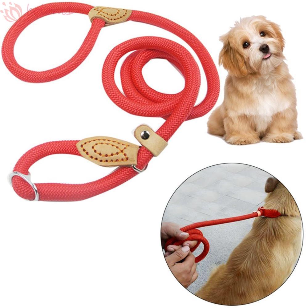 [COD] Dây Dắt Thú Cưng Đi Dạo Bằng Nylon Dày Dặn 0.8 / 1.0 / 1.3Cm Màu Sắc Đơn Giản Xinh Xắn