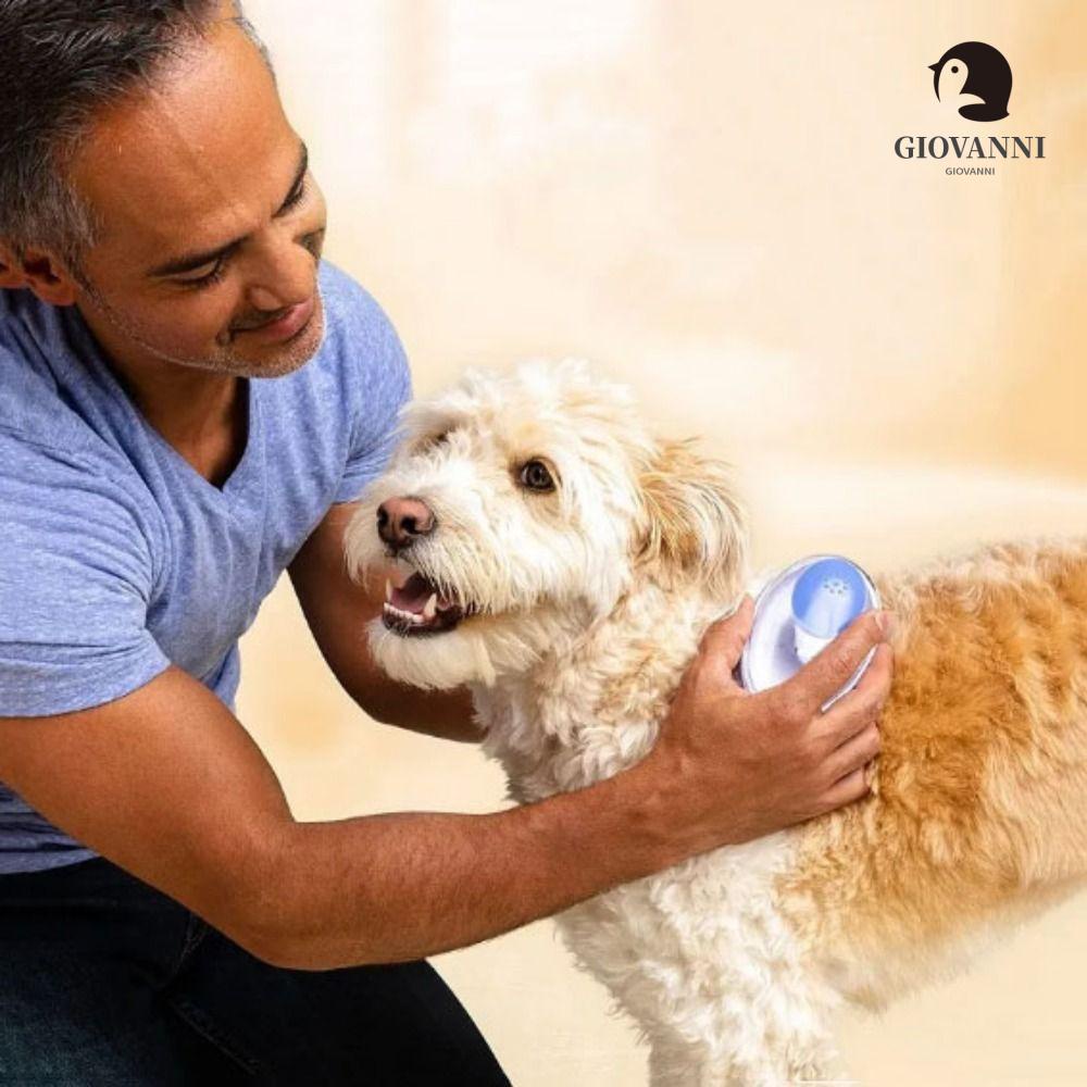 Lược Chải Lông Mềm Mại Bằng ABS Màu Xanh Dương / Xanh Lá Kèm Hộp Đựng Dành Cho Thú Cưng