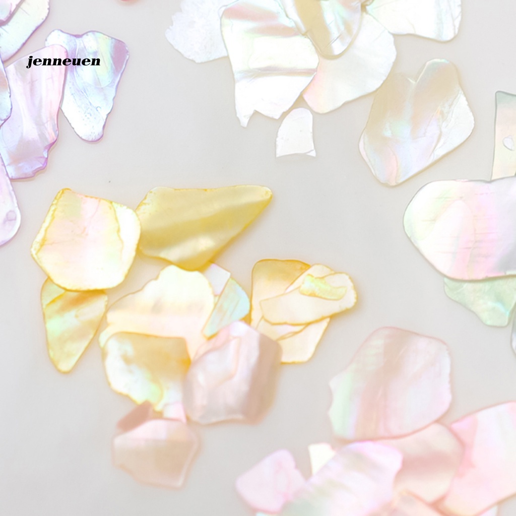 1 Hộp Vỏ Sò Tự Nhiên Trang Trí Móng Tay DIY Charms