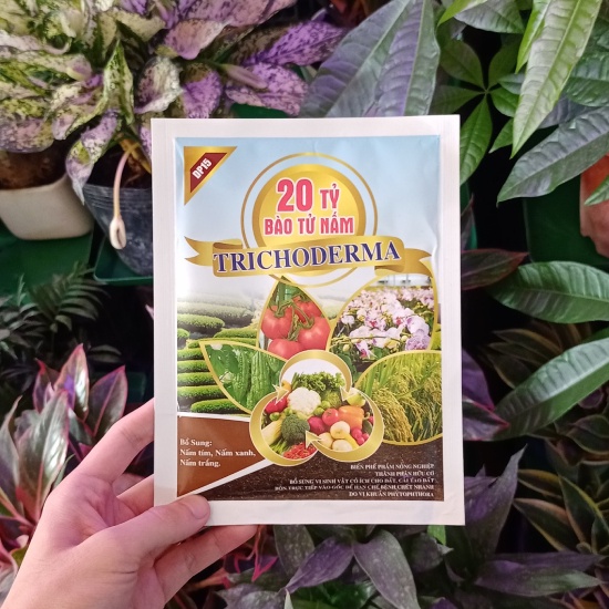 CHẾ PHẨM TRICHODERMA 20 TỶ BÀO TỬ GÓI 100G - GIÚP PHÒNG CHỐNG CÔN TRÙNG, NẤM BỆNH