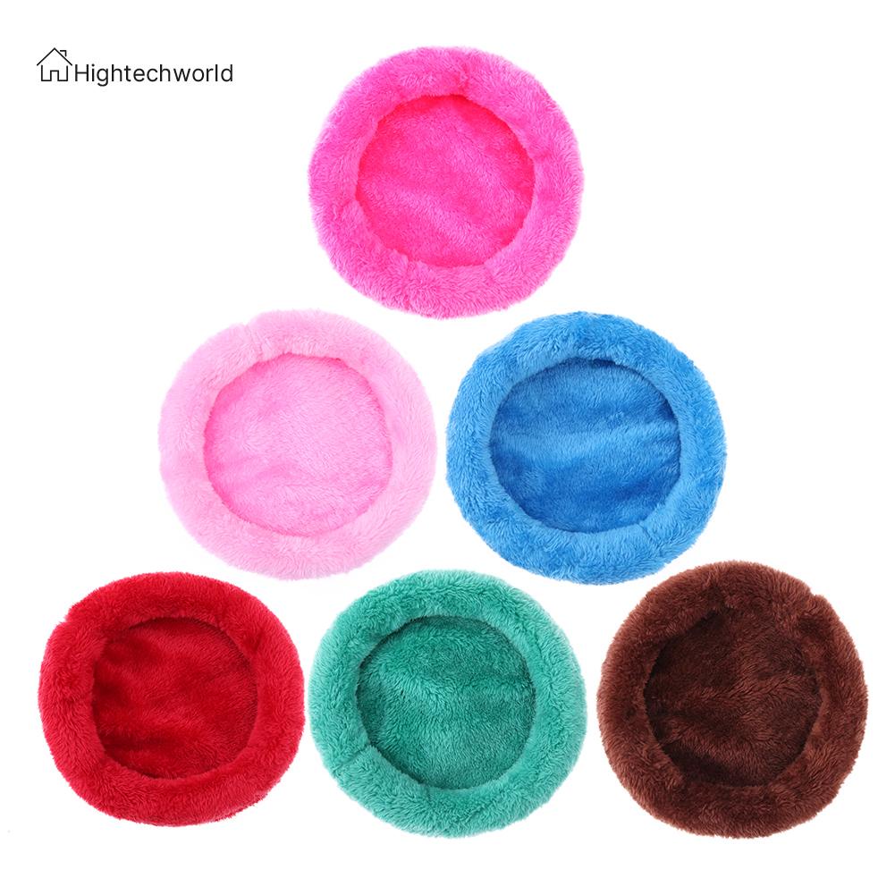 Chuột Hamster Bett Xinh Xắn Đáng Yêu