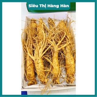 Sâm tươi 8 củ 1 kg là loại nhân sâm tươi Hàn Quốc 6 năm tuổi