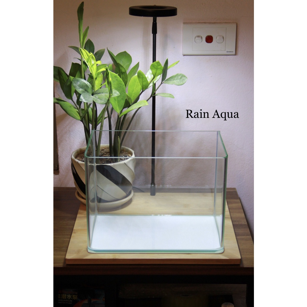 Bể kính đúc siêu trong dài 18cm đến 30cm.