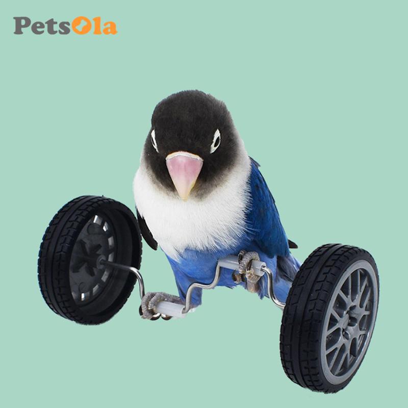 Petsola đồ chơi thăng bằng con vẹt trượt băng nhỏ đồ chơi trên bàn đồ chơi giáo dục trí tuệ đồ chơi con vẹt cho lovebird cockatiels