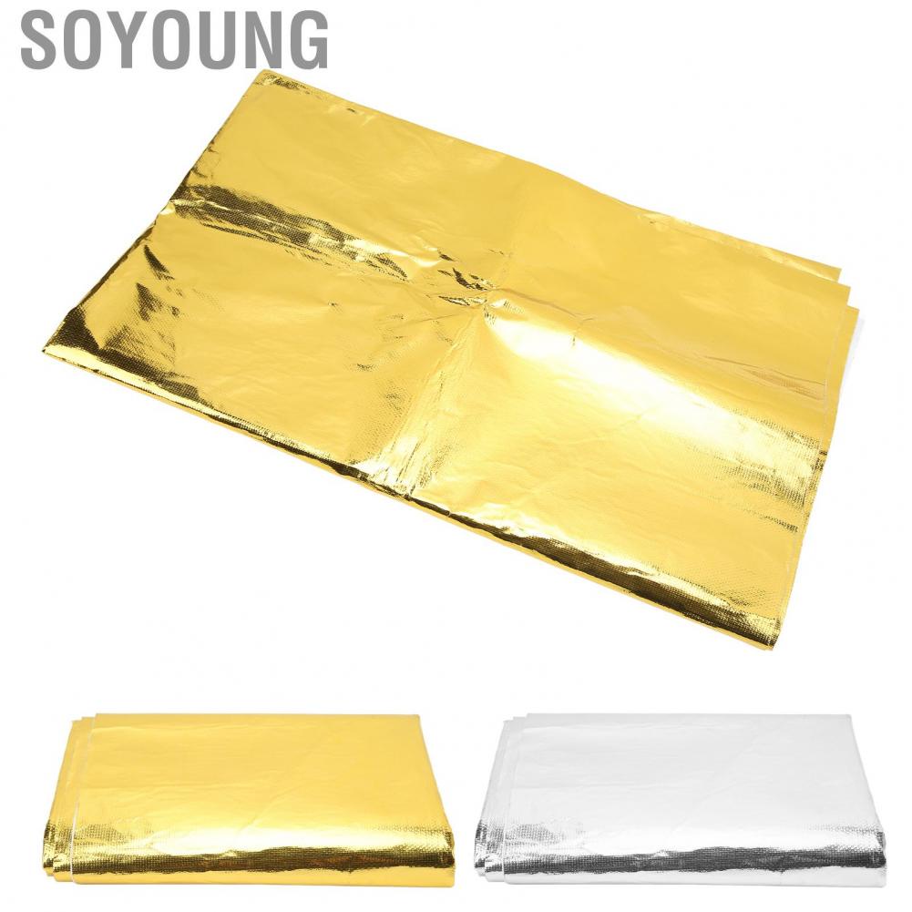 Soyoung Thermal Insulation Adhesive Tape  Easy To Remove Excellent Reflection Lightweight Heat Shield Wrap Wide Applicability Stable for Seat Bottom