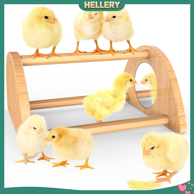 Giá Đỡ Gà Bằng Gỗ Dùng Huấn Luyện Chim Cảnh Tiện Dụng