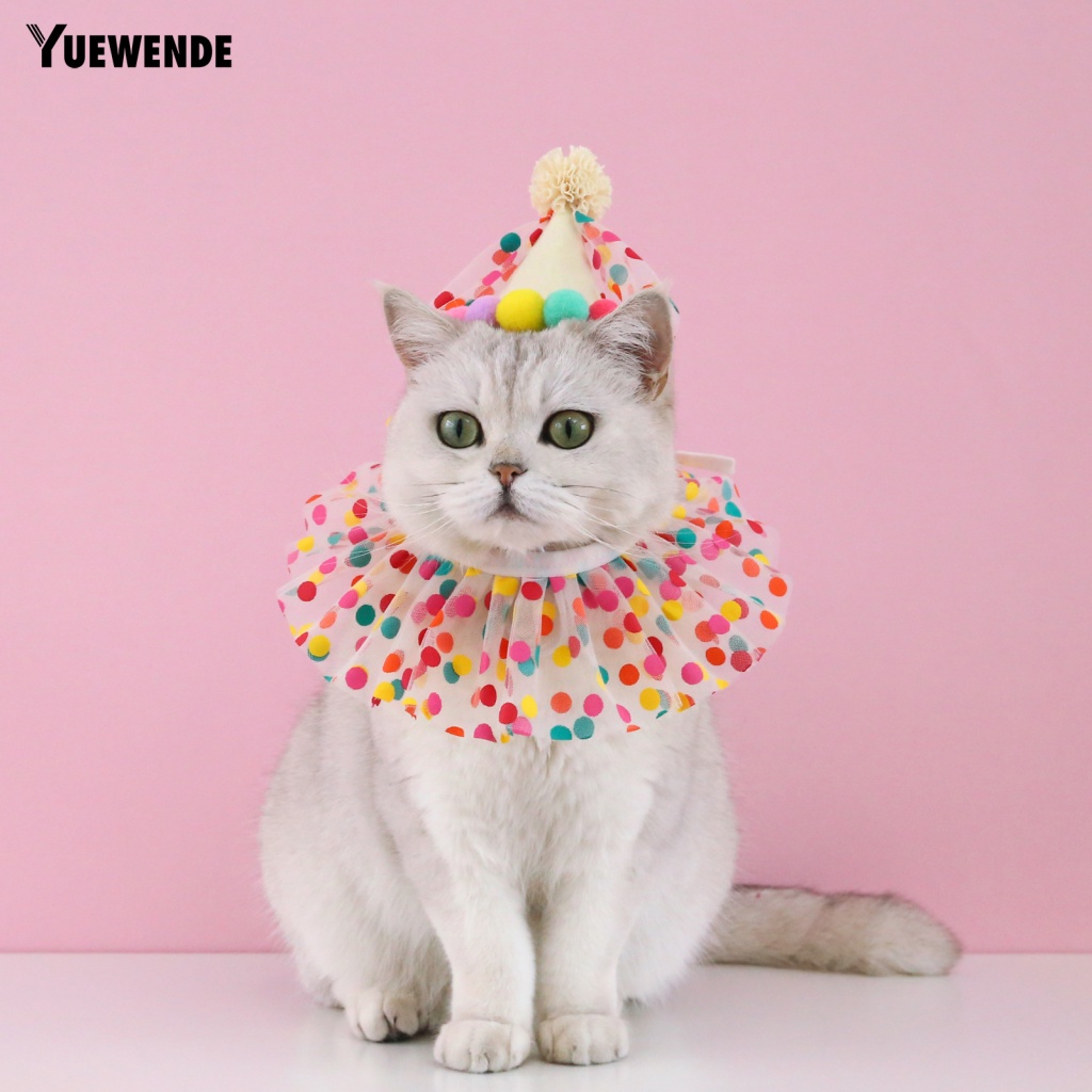 1 Set Băng Đô Và Nón Chụp Ảnh Cho Thú Cưng