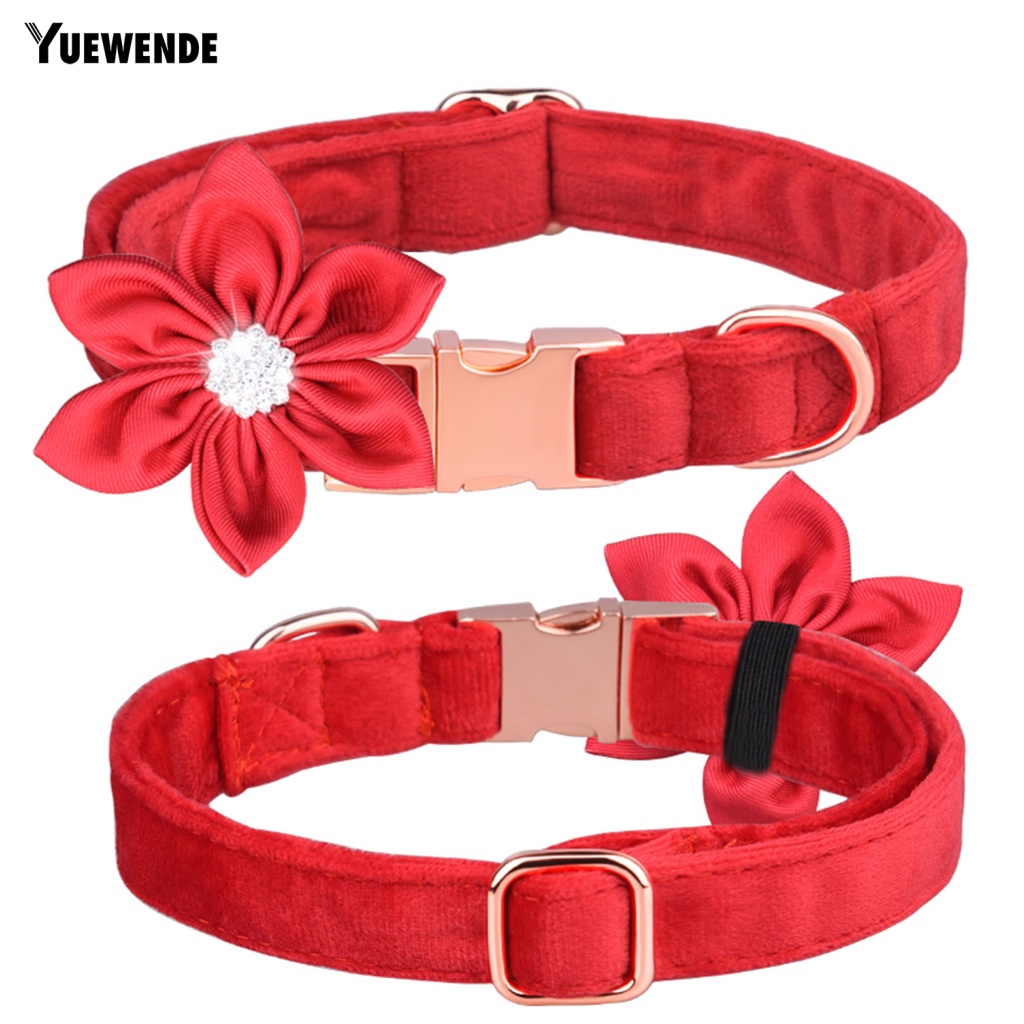 1 Bộ Vòng Cổ Thân Thiện Với Môi Trường Kèm Dây Dắt Cho Thú Cưng