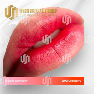 (Chính hãng) Mực Perma Blend Luxe và Perma Blend Evenfo