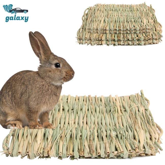 Galaxy Thảm Cỏ Đan Thủ Công Tự Nhiên Cho Hamster / Thỏ / Vẹt