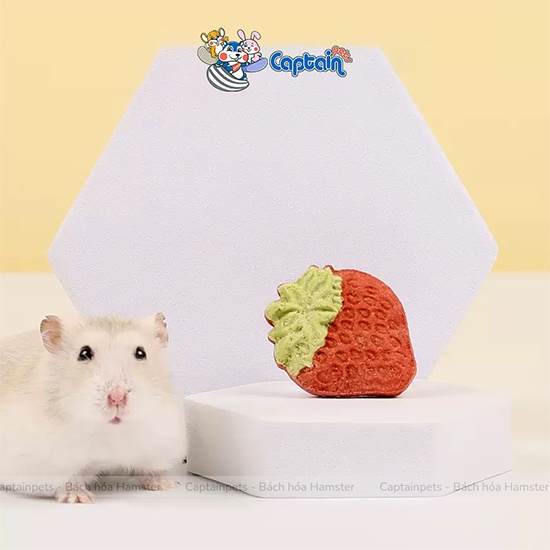 Bánh quy sữa dê làm sạch răng cho Hamster và thú cưng