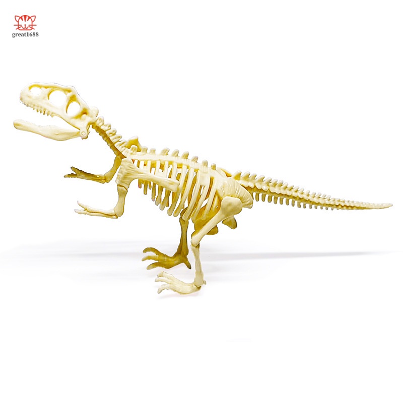 Bộ Xương Khủng Long Lắp Ráp Kích Thước 21CM