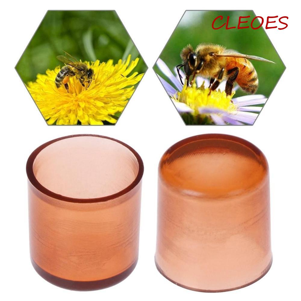 Lồng Nuôi Ong Bằng Nhựa CLEOES Queen