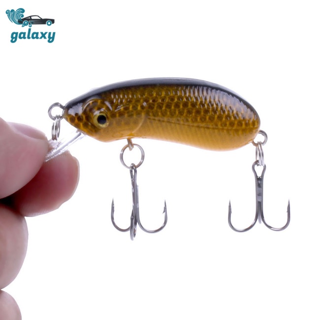 Galaxy Set 5 Mồi Giả Nhử Cá Mini Kèm Hộp Đựng