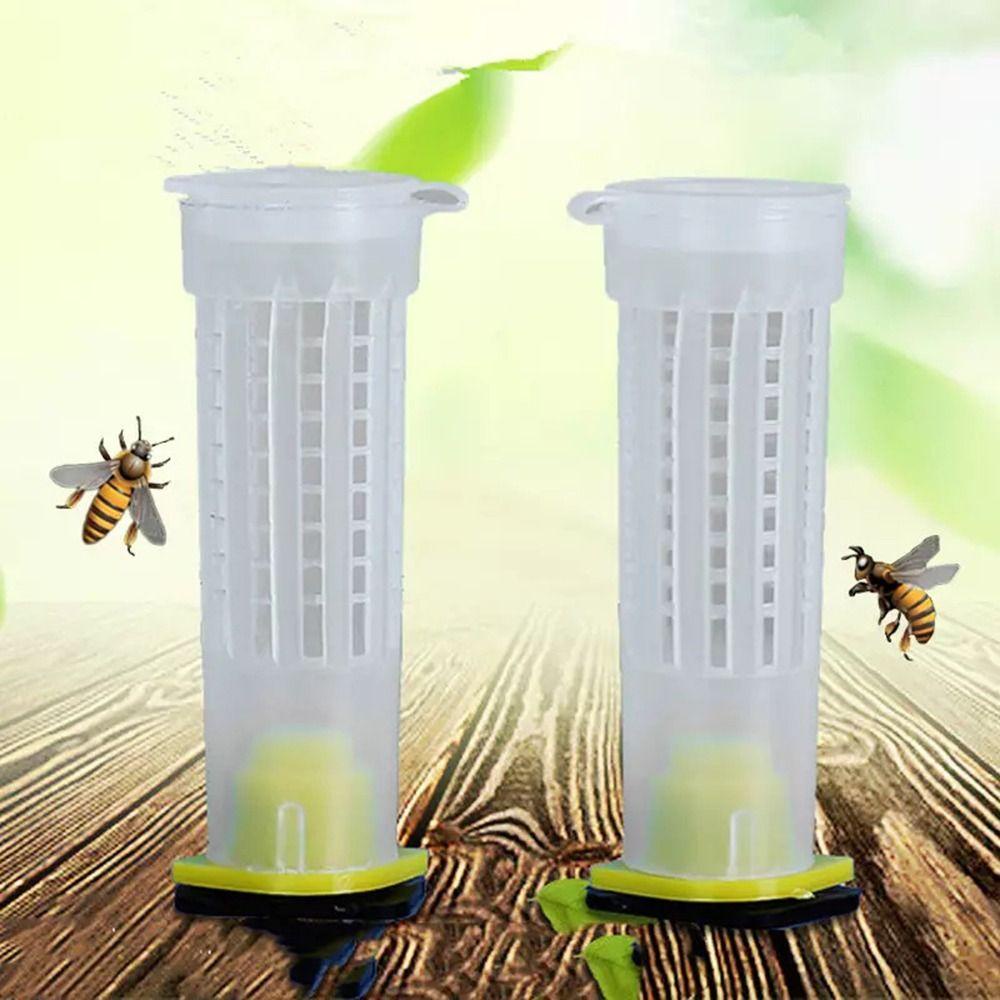 Set 10 Vỏ Bọc Bảo Vệ Cốc Nuôi Ong Chúa Siêu Bền Tiện Dụng