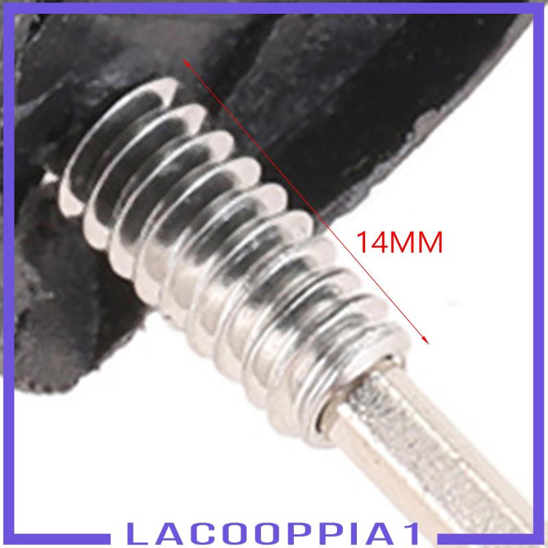 [Lacooppia1] Chìa Khóa Và Ốc Vít Cho Ván Lướt Sóng