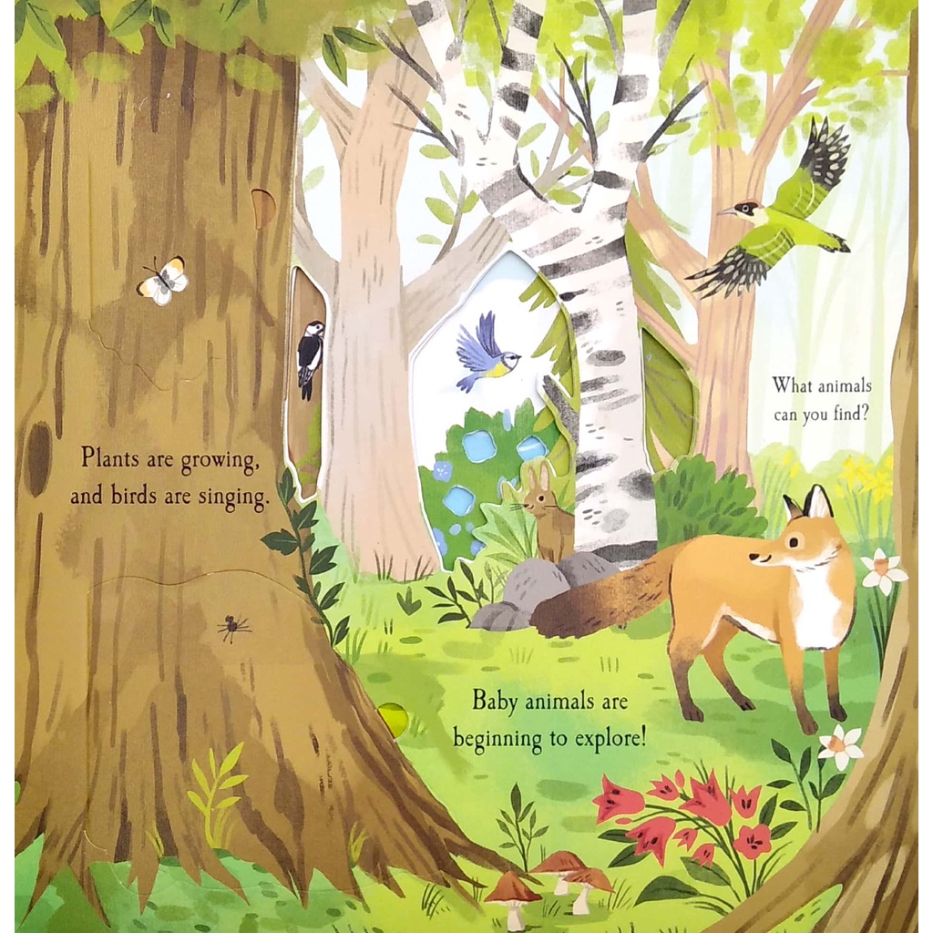 Nature Die-cut Book - Let's Explore! The Woods