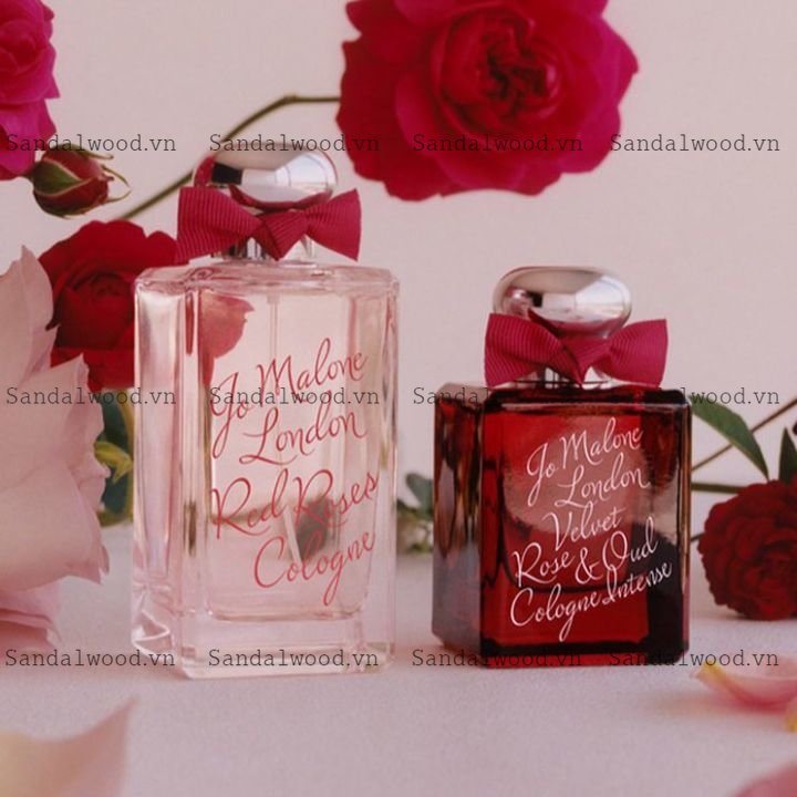 💖 Nước Hoa Jo Malone London Rose Blush Cologne - 5ml/10ml